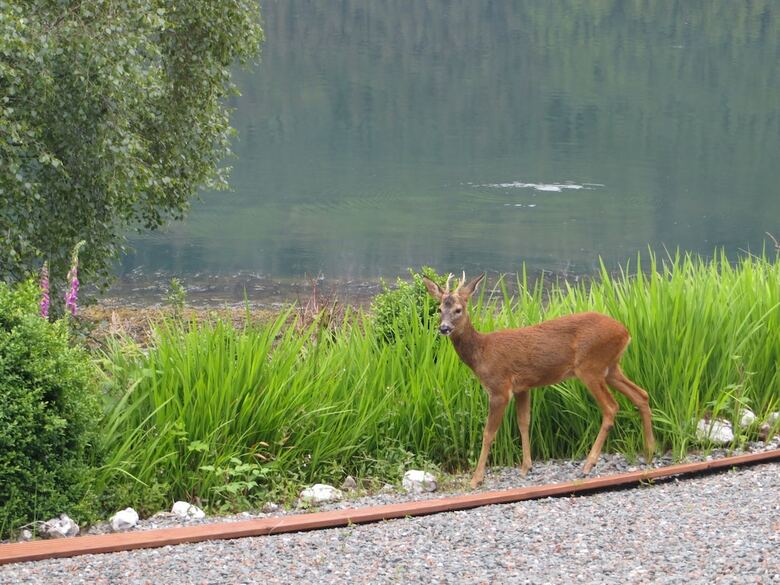 Lochwood House B&B And Self Catering