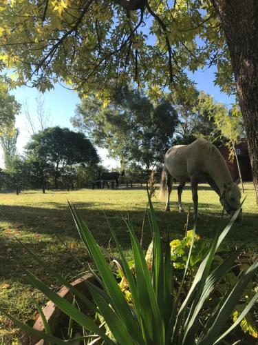 Lodge Finca Silvestre