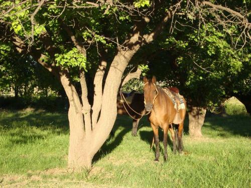 Apartamento Entorno De Bosque