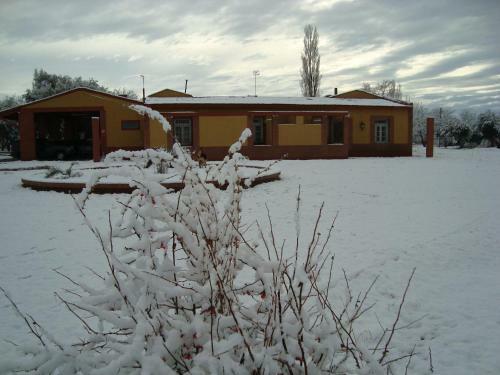 Apartamento Entorno De Bosque