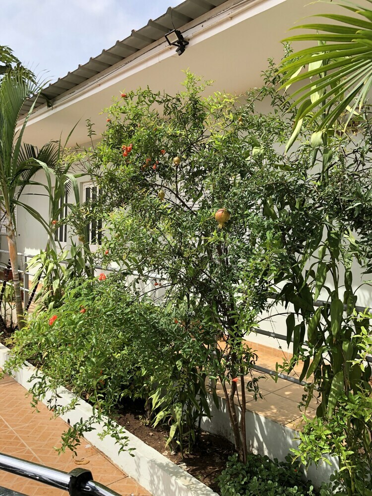Hotel Guest House Terezinha