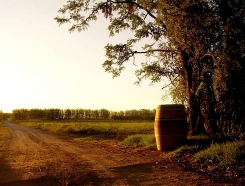 Hotel Algodon Wine Estates & Champions Club