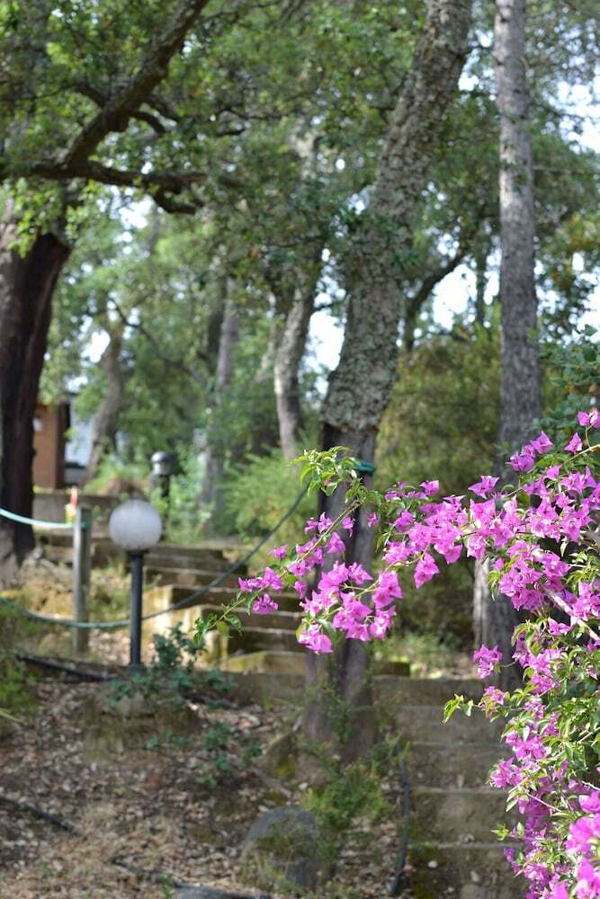 Cybeles Vacances Camping Les Alb�res