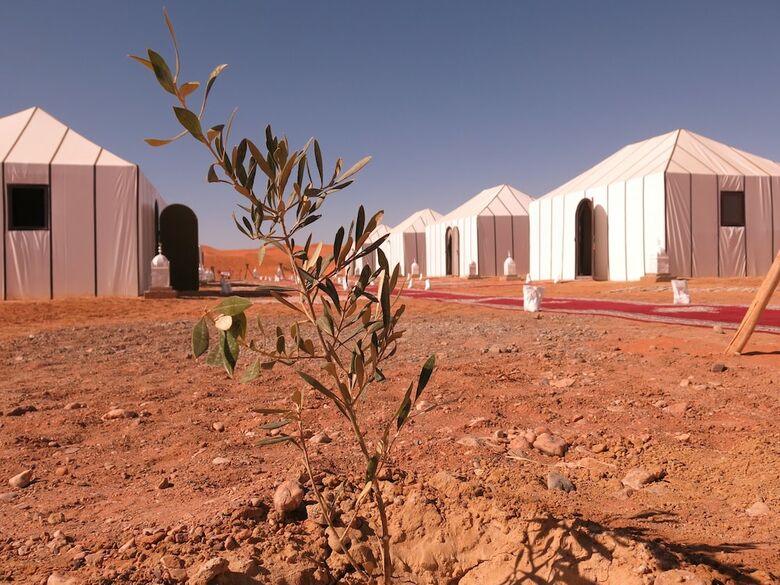 Mirage Luxury Camp