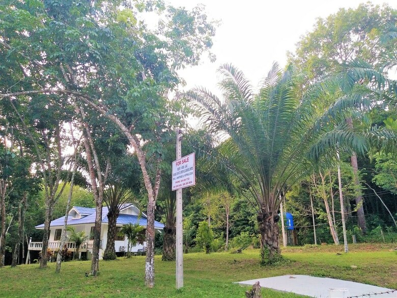 Villa Kood Life