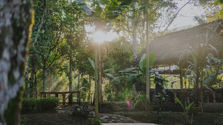 Damarwidi Glamping By Madhava
