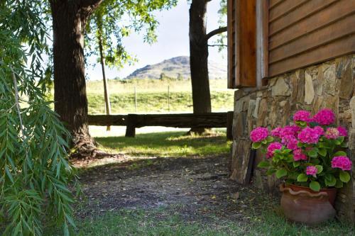 Lodge Caba�as Y Spa Las Pircas