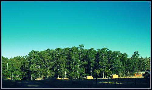 Lodge Caba�as Los Pioneros