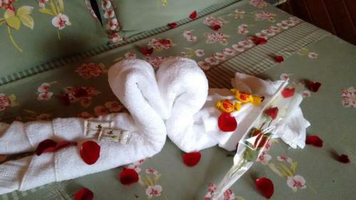 Hostal Pousada Recanto Das �guas