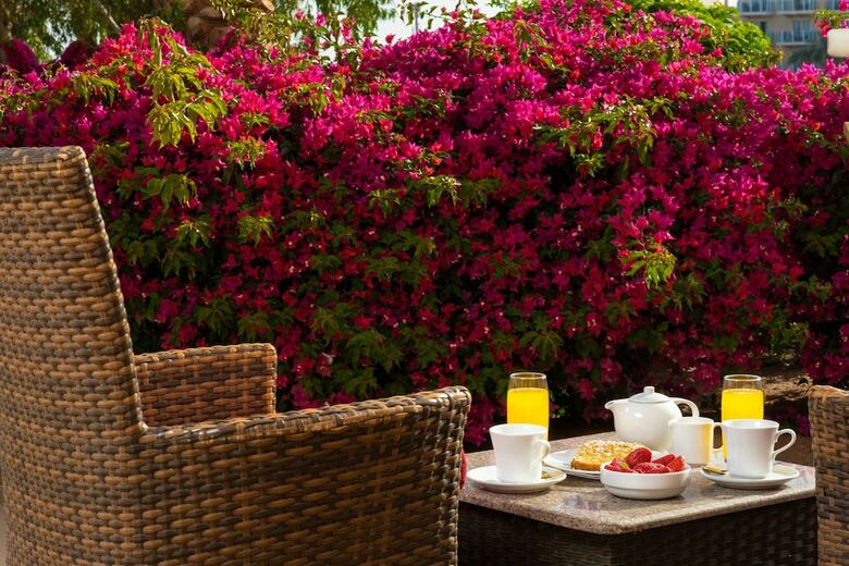 Hotel Movenpick Resort & Spa El Gouna