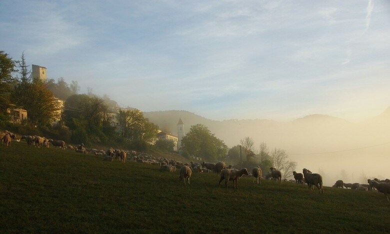 Bed & Breakfast La Villa Du Collet