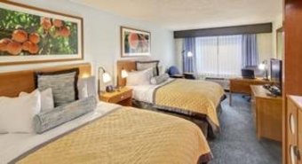 Hotel Wyndham Garden Atlanta Downtown