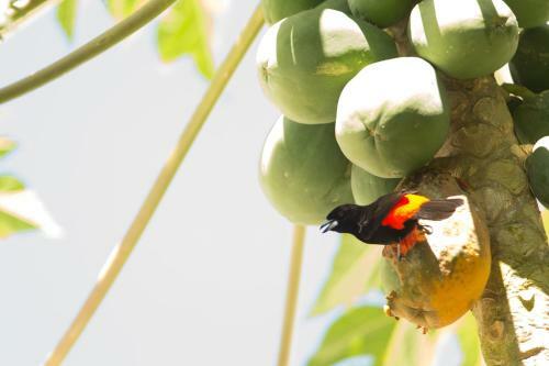 Saladero Eco Lodge