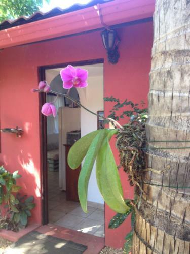 Massai Apartments