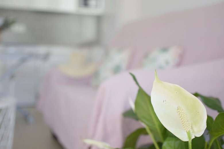 Apartamentos Moderno �tico Centro Torre Del Mar