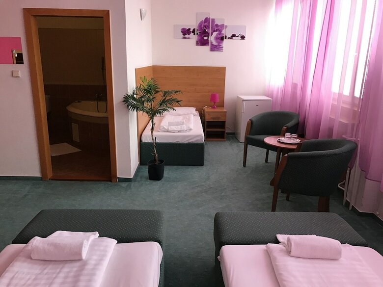 Hotel Hubert Nov� Z�mky