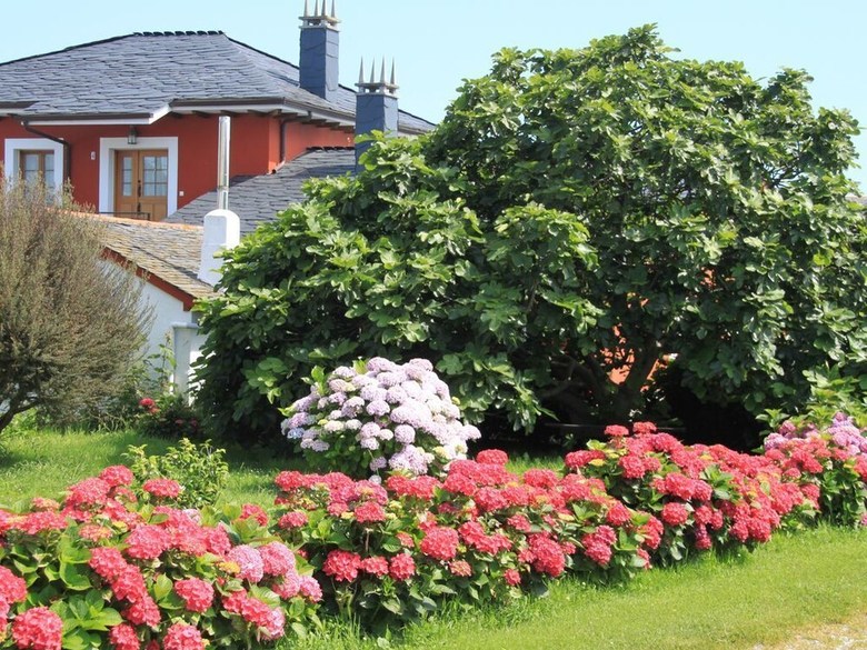 Apartamentos Jes?s For 4 People