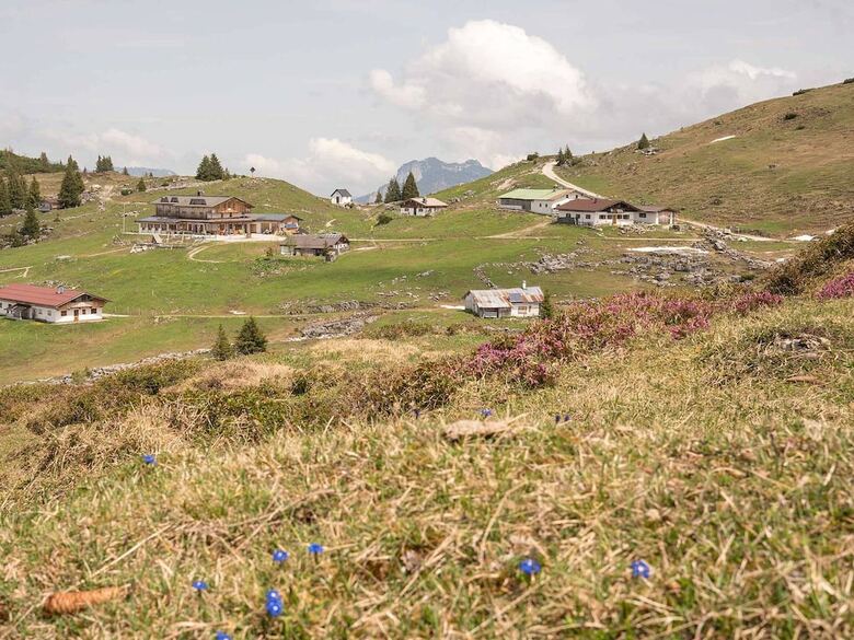 Pension Haus Wildbach