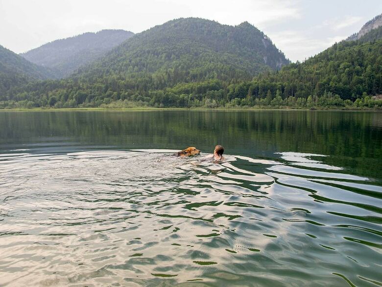 Pension Haus Wildbach