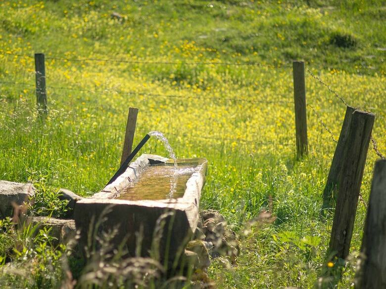 Pension Haus Wildbach