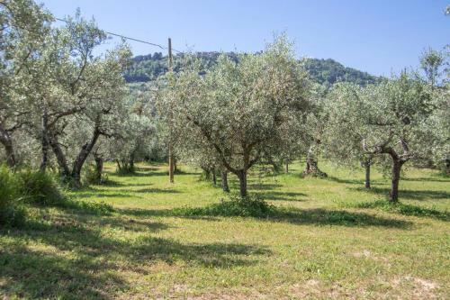 Agroturismo Agriturismo Filettro