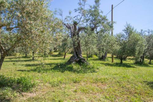 Agroturismo Agriturismo Filettro