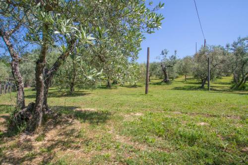 Agroturismo Agriturismo Filettro