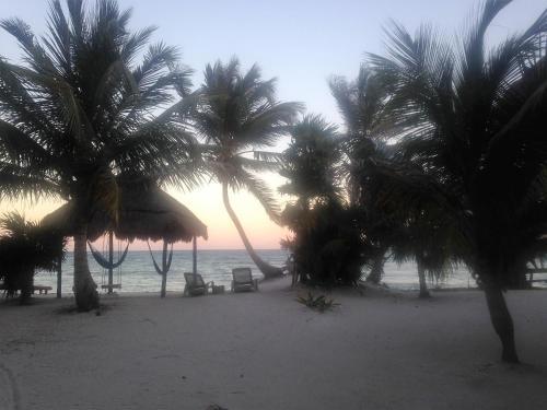 Hotel Balamku Inn On The Beach