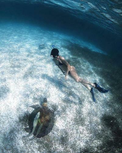 Albergue Hostal Jard�n Mahahual