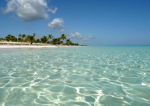 Hotel Almaplena Eco Beach Resort