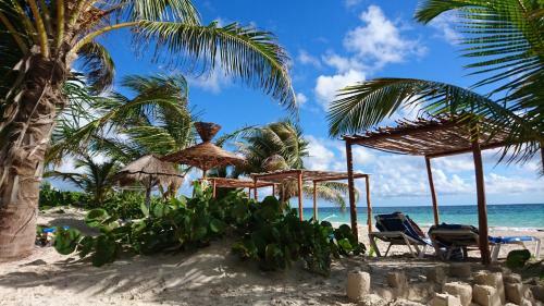 Hotel Almaplena Eco Beach Resort