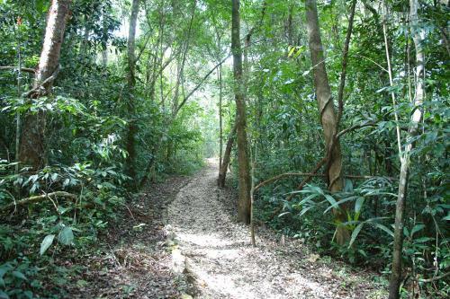 Lodge Tres Lagunas, Selva Lacandona