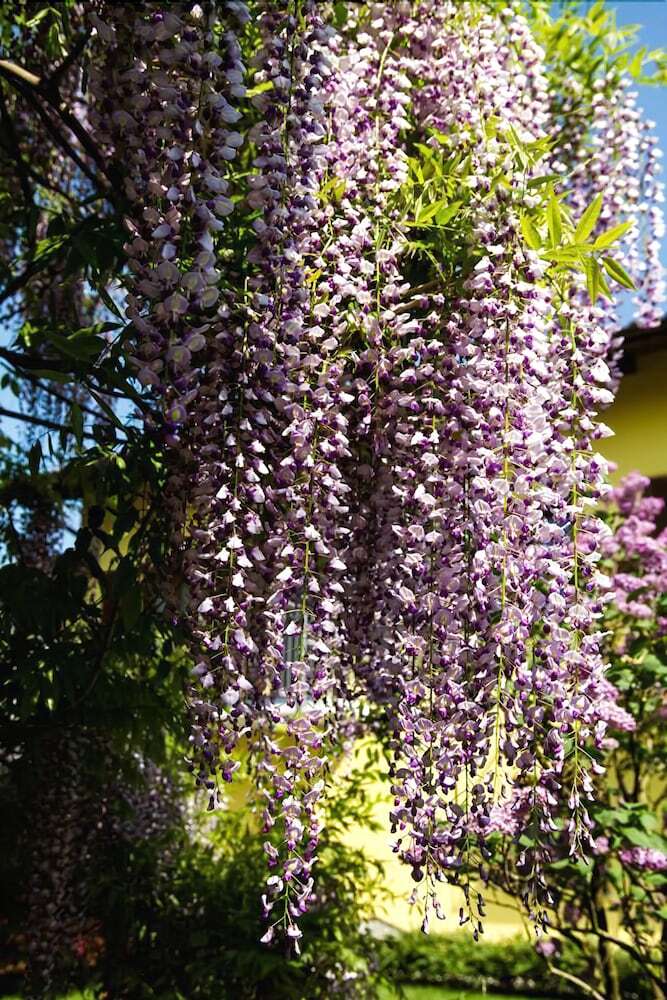 Agroturismo Agriturismo Tra Serra E Lago