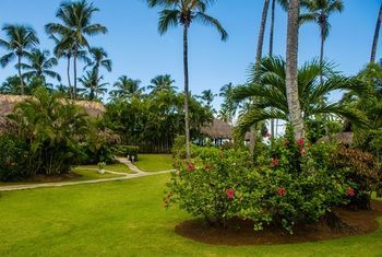 Hotel Costa Las Ballenas