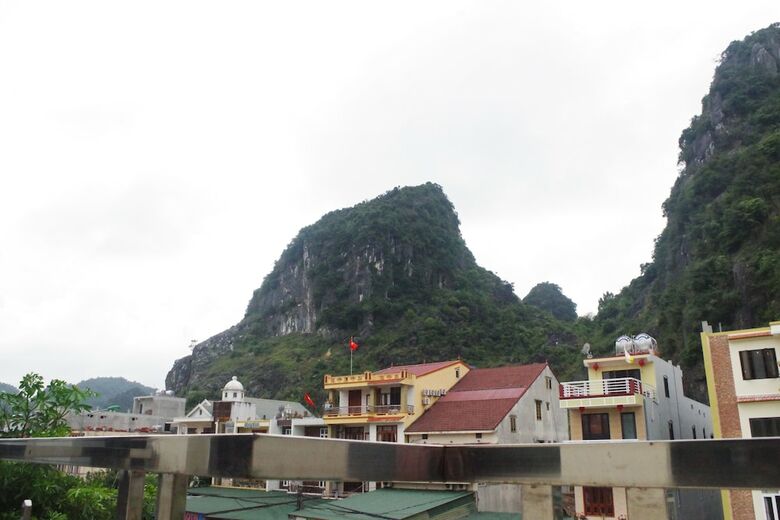 Hotel Golden Forest Homestay