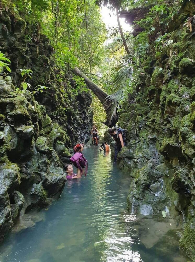 Hotel Golden Forest Homestay