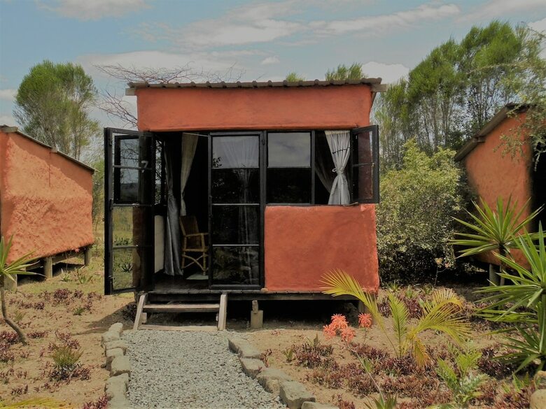 Punda Milias Camp Nakuru