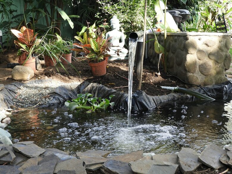 Hotel Casa Jardin Del Mango