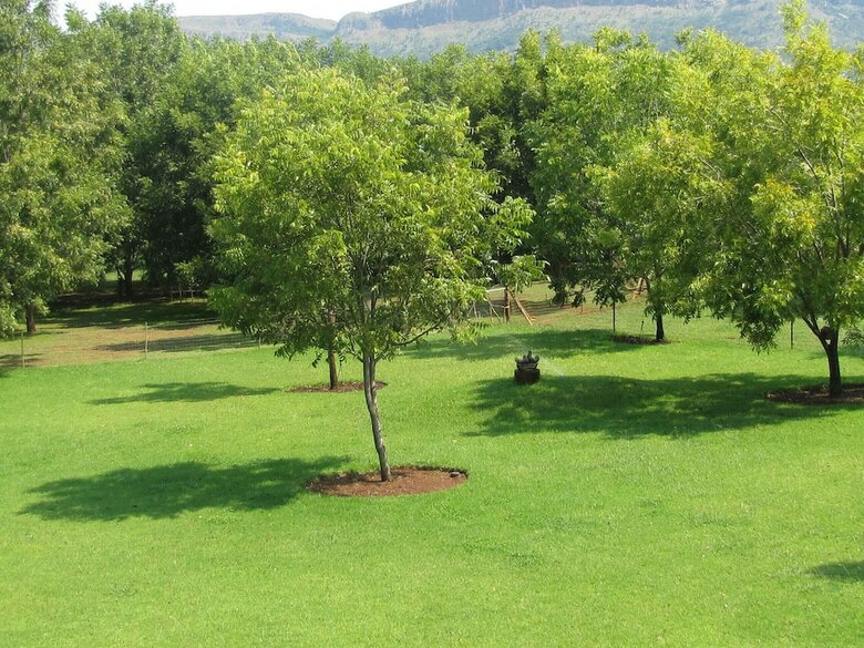 Hotel Millstream Inn Guesthouse