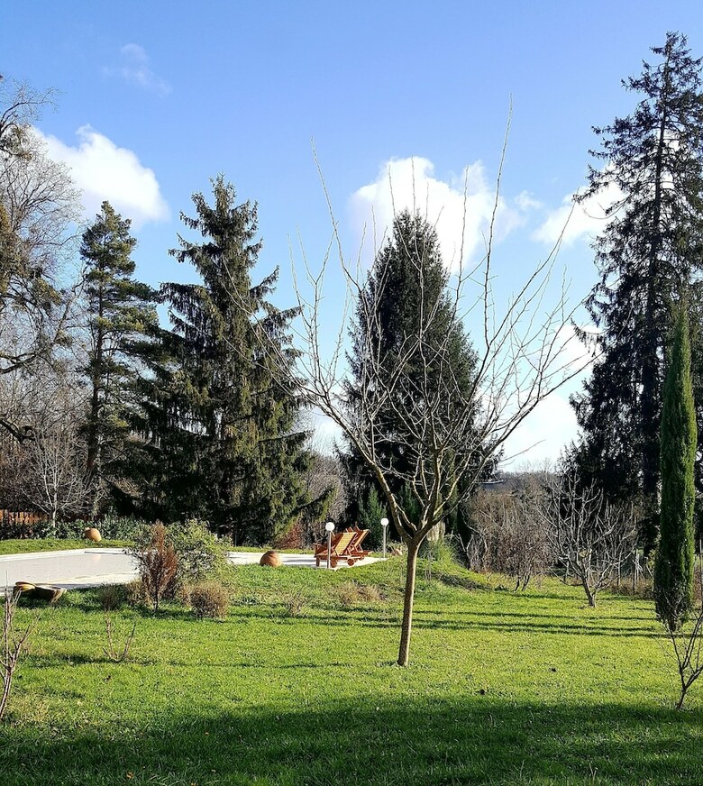 Apartamento Appartement Le Solutr�