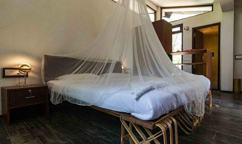 Bed & Breakfast Uravu Bamboo Grove