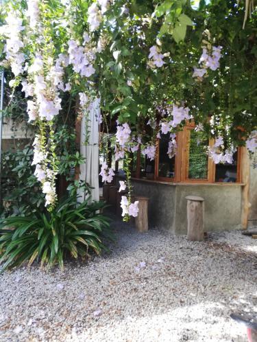 Aparthotel Residencia El Balat�