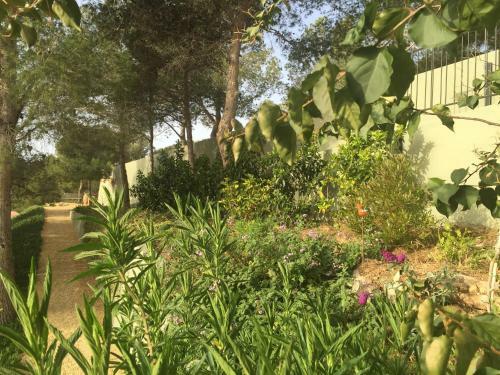 Bed & Breakfast Finca El Otero