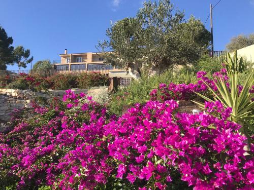 Bed & Breakfast Finca El Otero