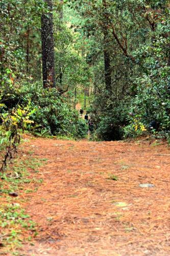 Lodge Centro Ecotur�stico Caba�as Llano Grande