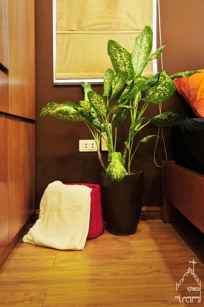 Apartamentos Chez Tram Homestay