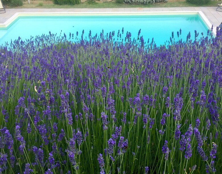 Agroturismo Poggio Corsucci