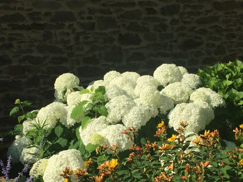 Agroturismo Poggio Corsucci