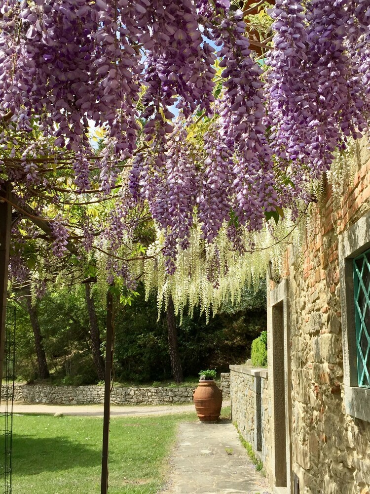 Agroturismo Poggio Corsucci