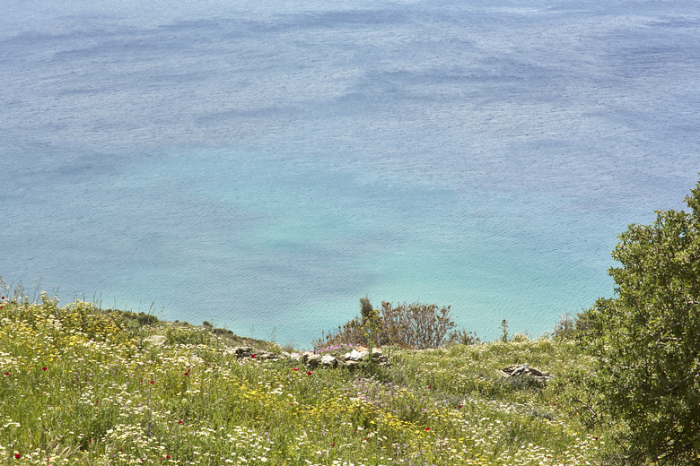 Apartamentos Agnanti Andros